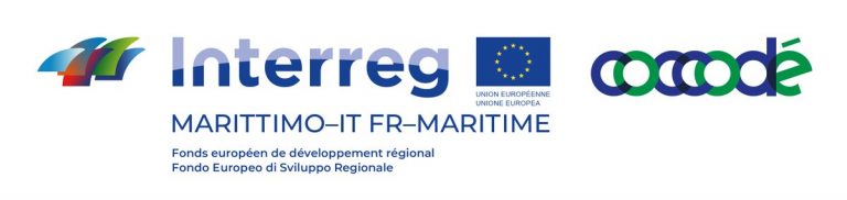 AVVISO PER PRESENTAZIONE OFFERTA PROGETTO COCCODE’