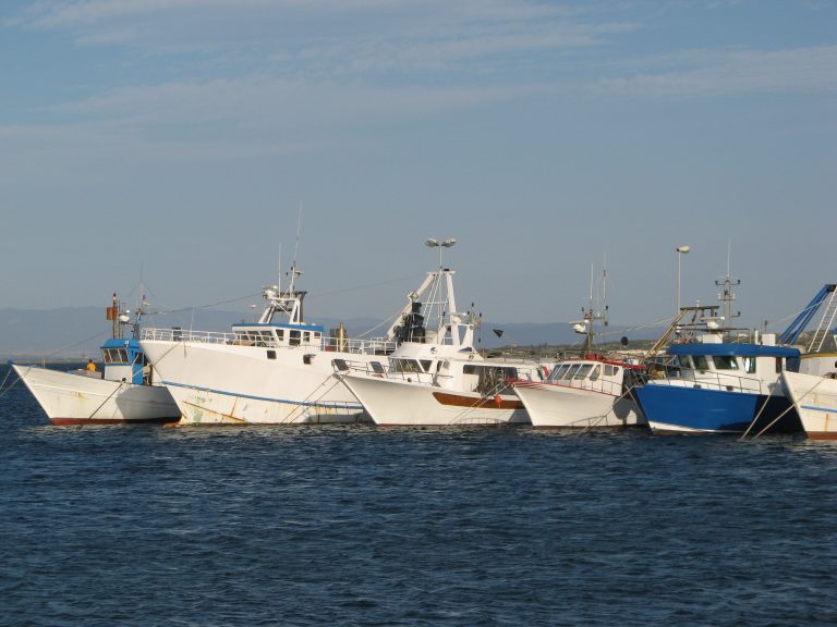 Decreto fermo pesca strascico 2022 Sardegna