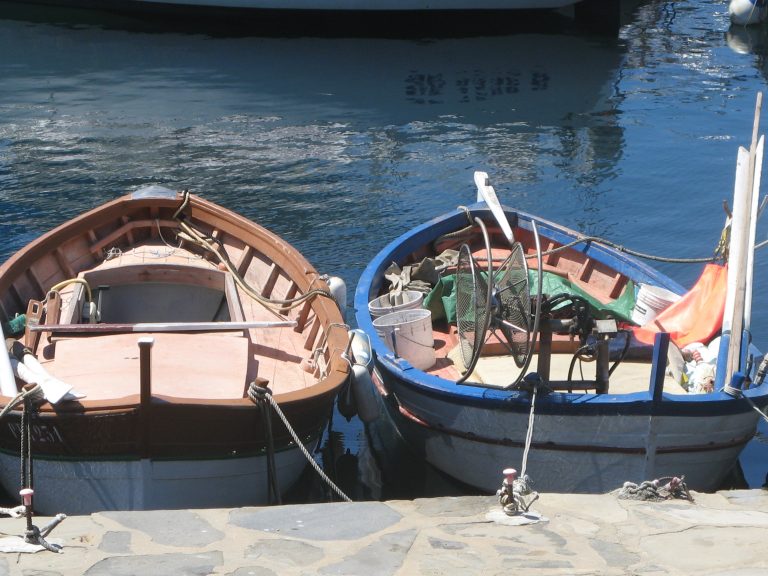 Decreto attuazione Fondo sostegno pesca, acquacoltura e agricoltura