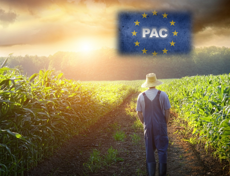 Presentato il piano strategico nazionale sulla PAC