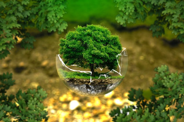 Confcooperative sigla protocollo d’intesa per la biodiversità