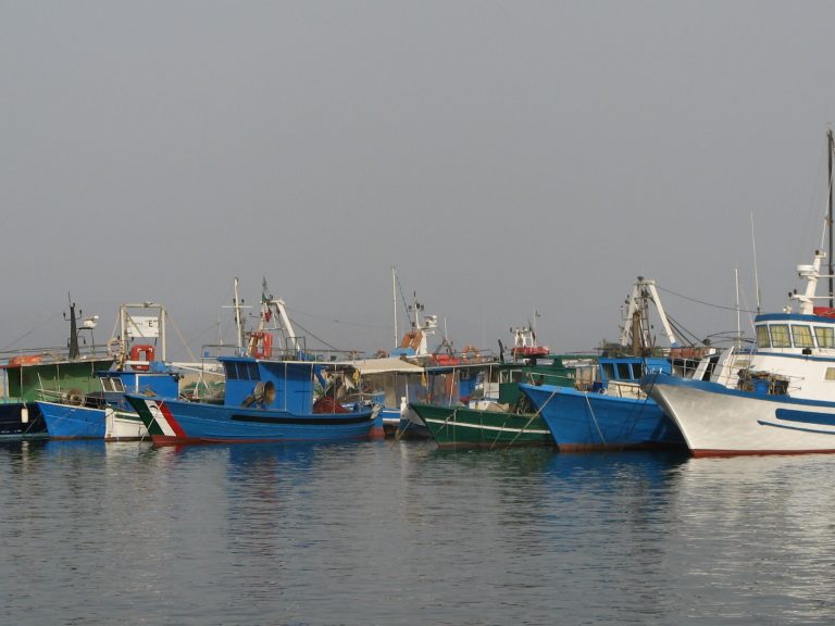 Pescatori penalizzati dal Regolamento Controlli