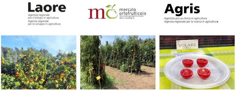 Convegno “La valorizzazione della filiera ortofrutticola in Sardegna”