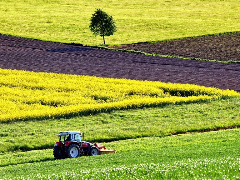 Approvato il DL Agricoltura