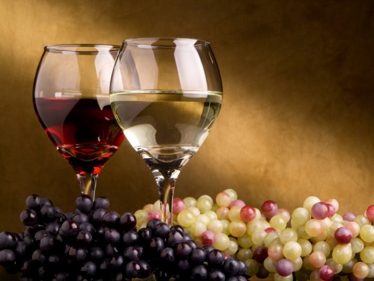 Disposizioni attuative presentazione domande aiuto “Investimenti vino”
