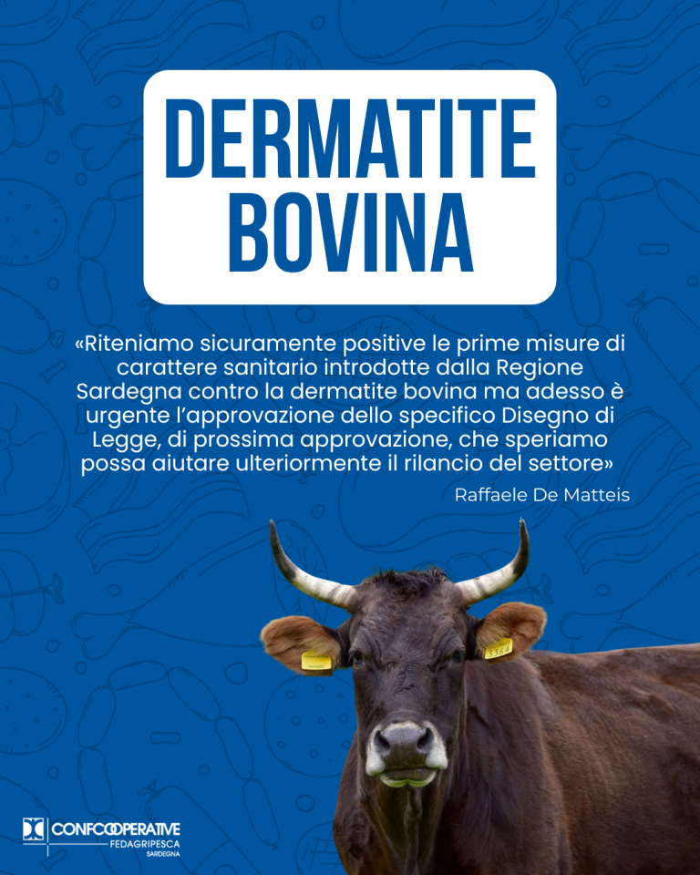 Intervento Confcooperative Sardegna su dermatite bovina